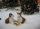 christmas 2005 022